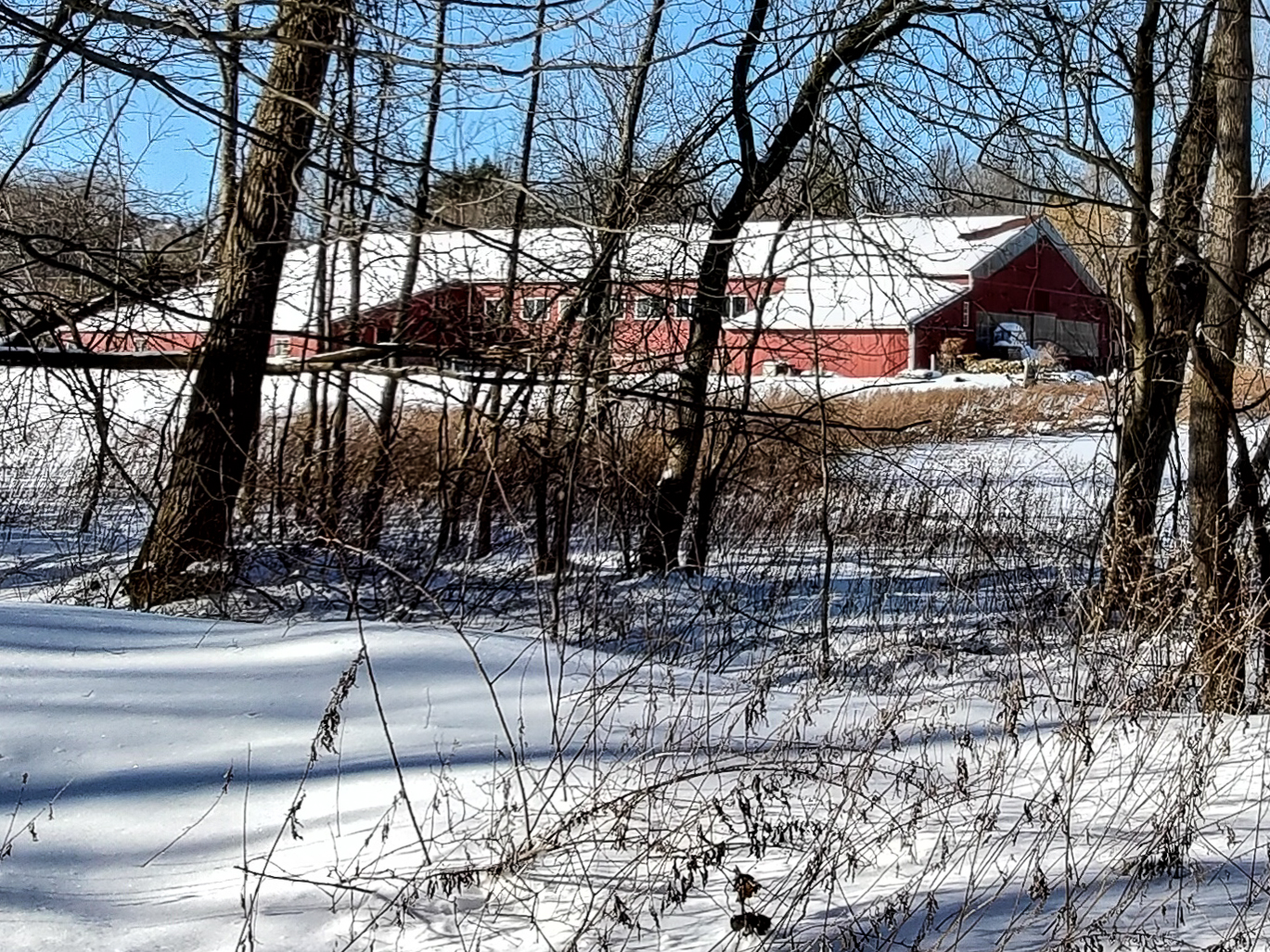 slideshow image