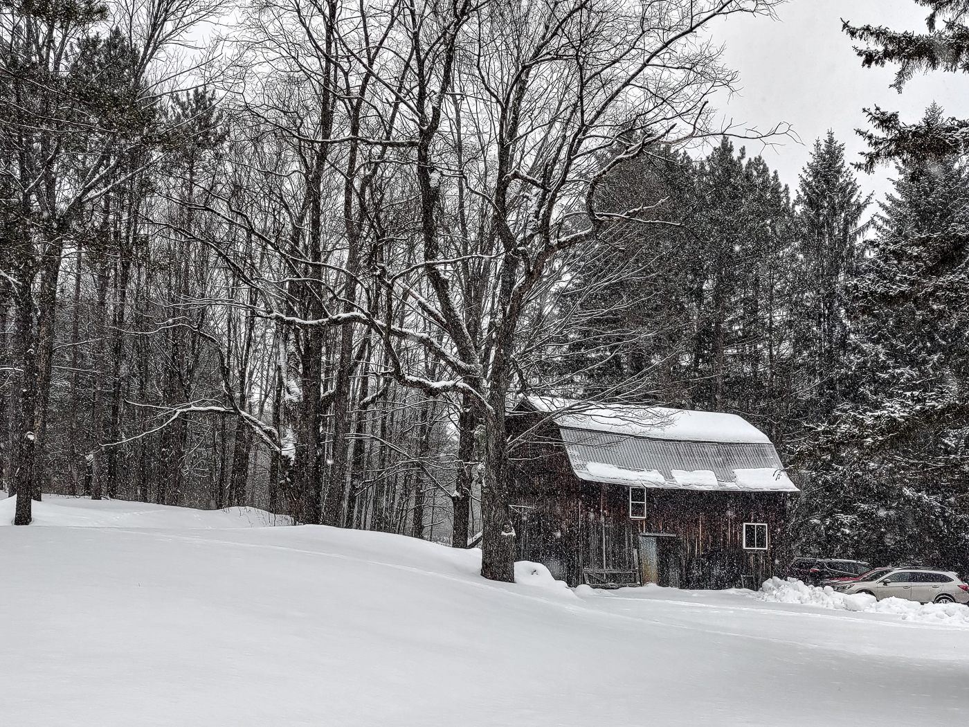 slideshow image