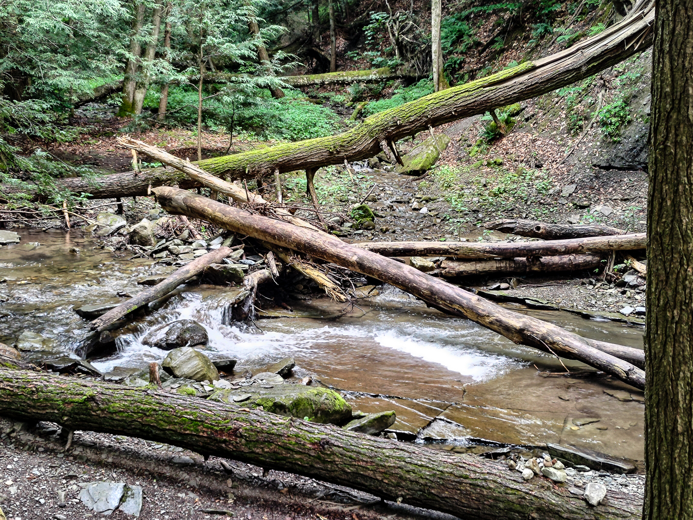 slideshow image