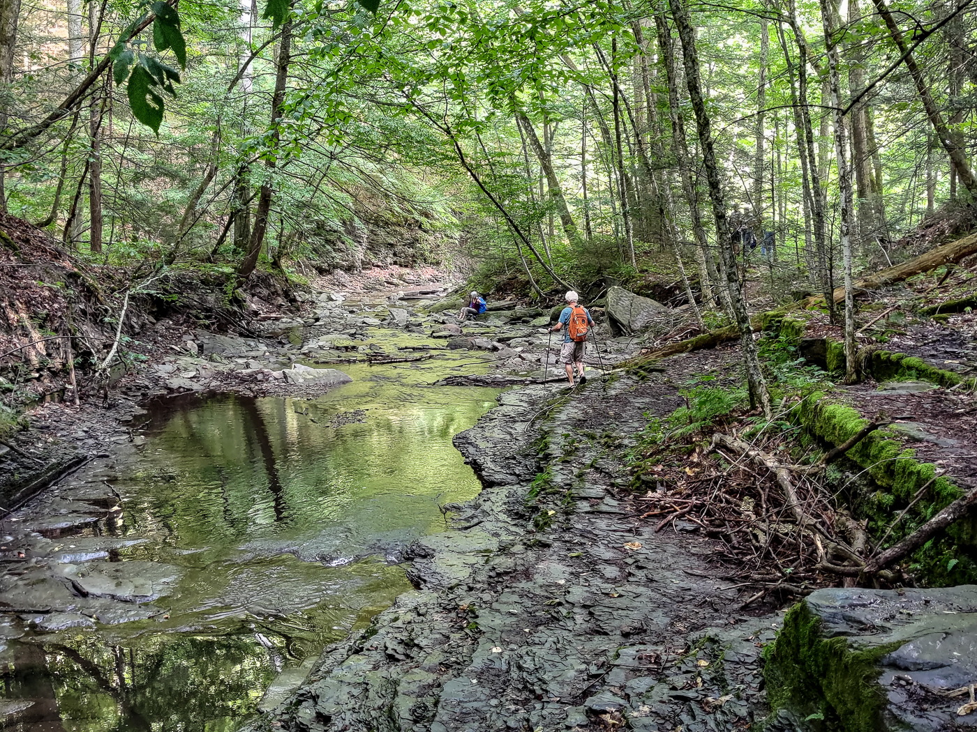 slideshow image
