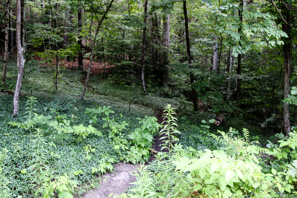 slideshow image