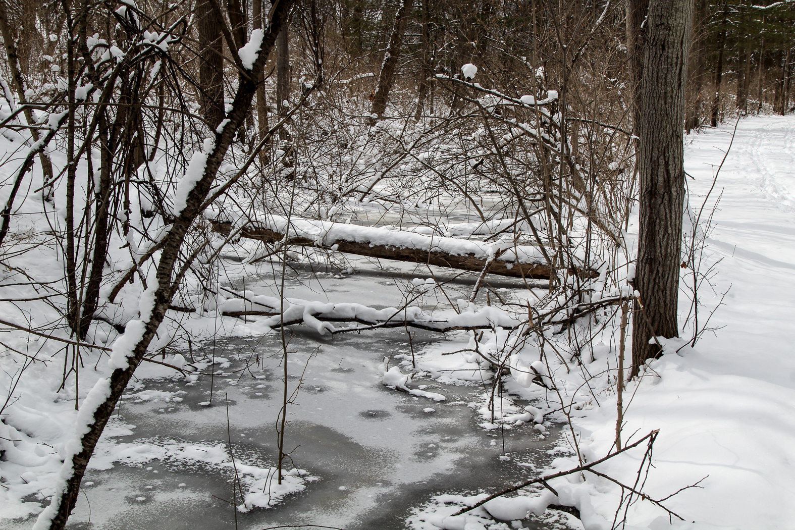 slideshow image