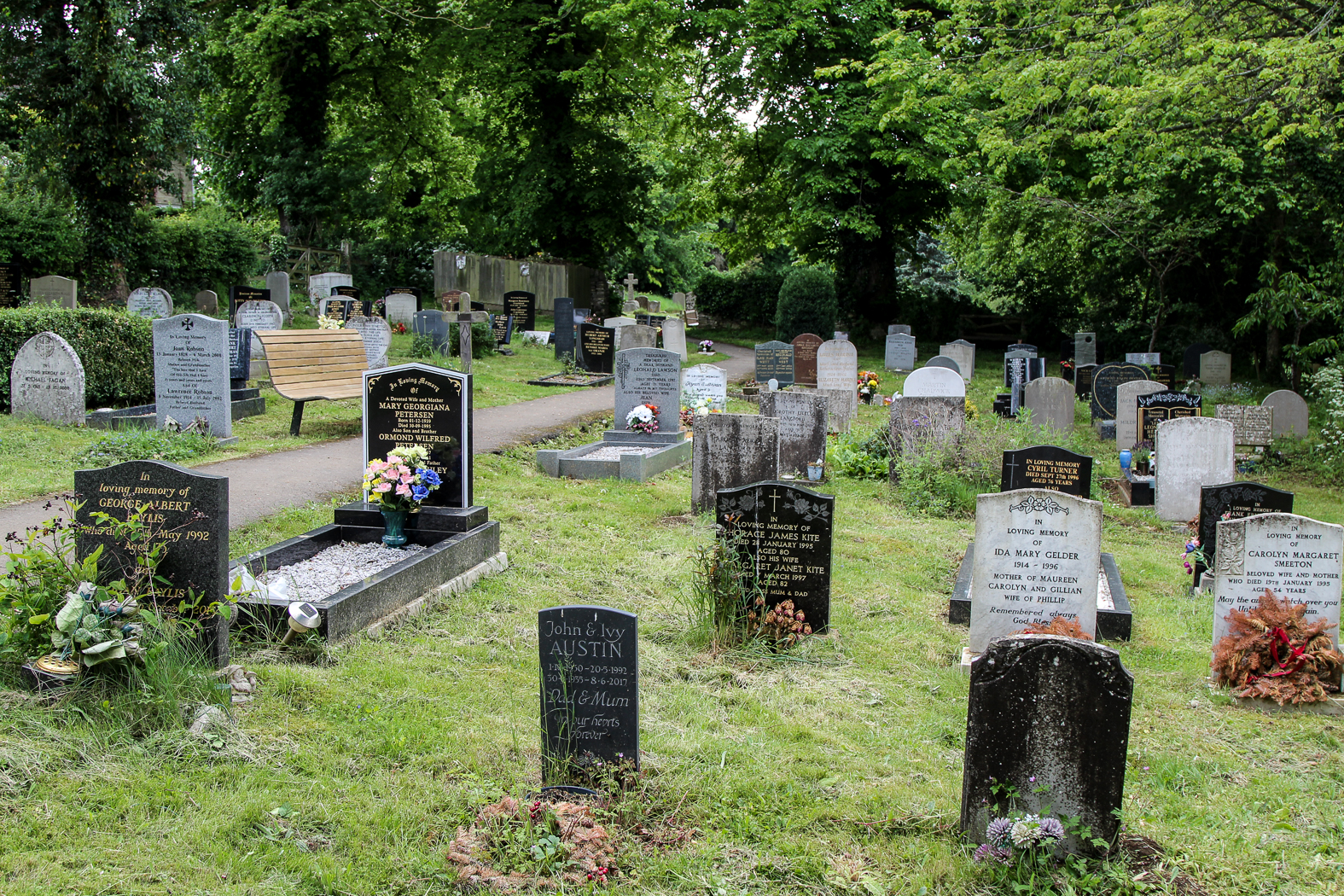 slideshow image