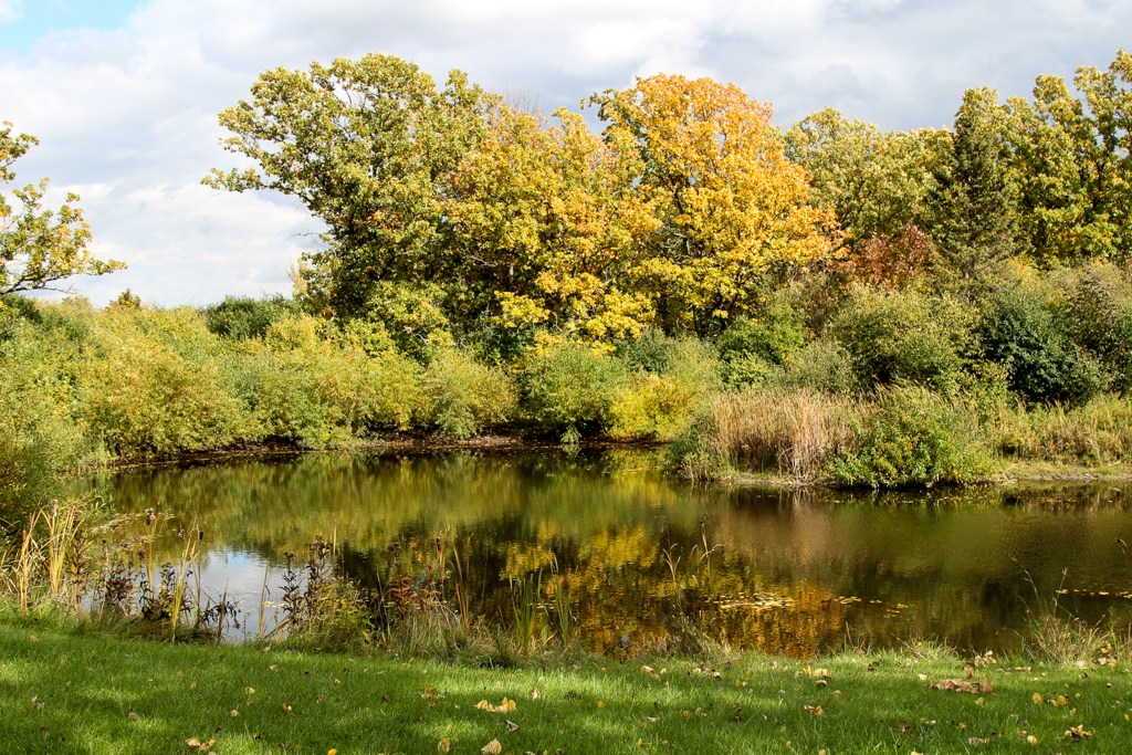 slideshow image