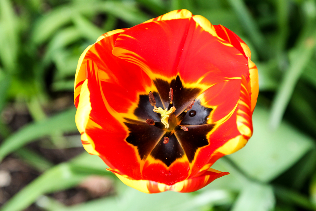 slideshow image