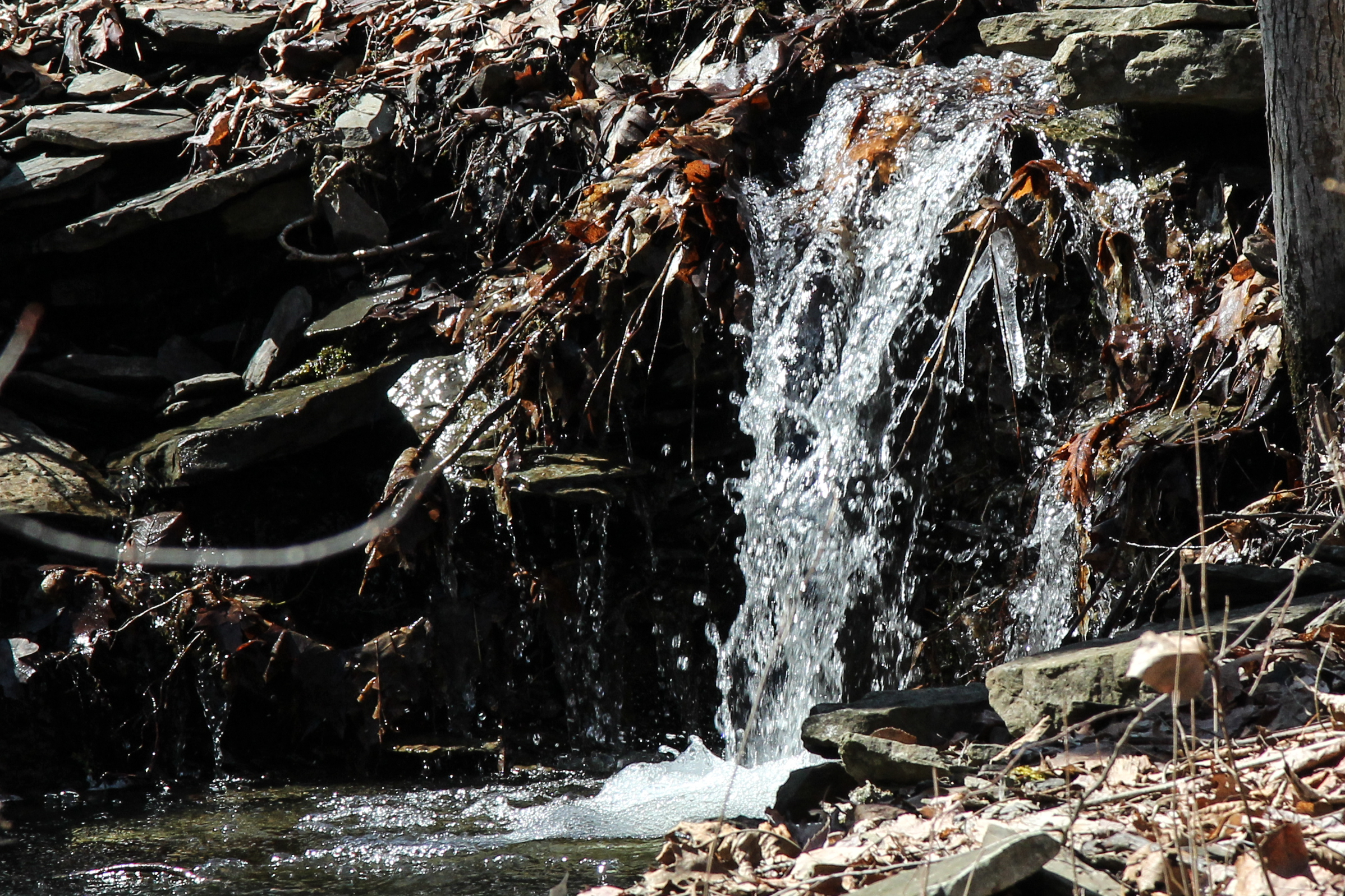 slideshow image