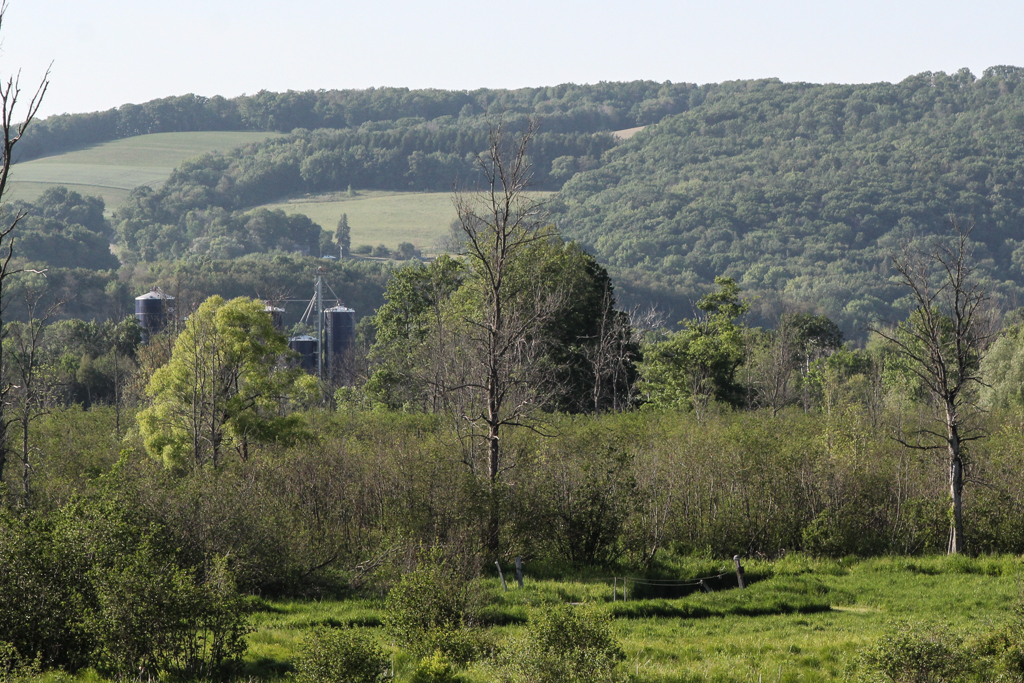slideshow image