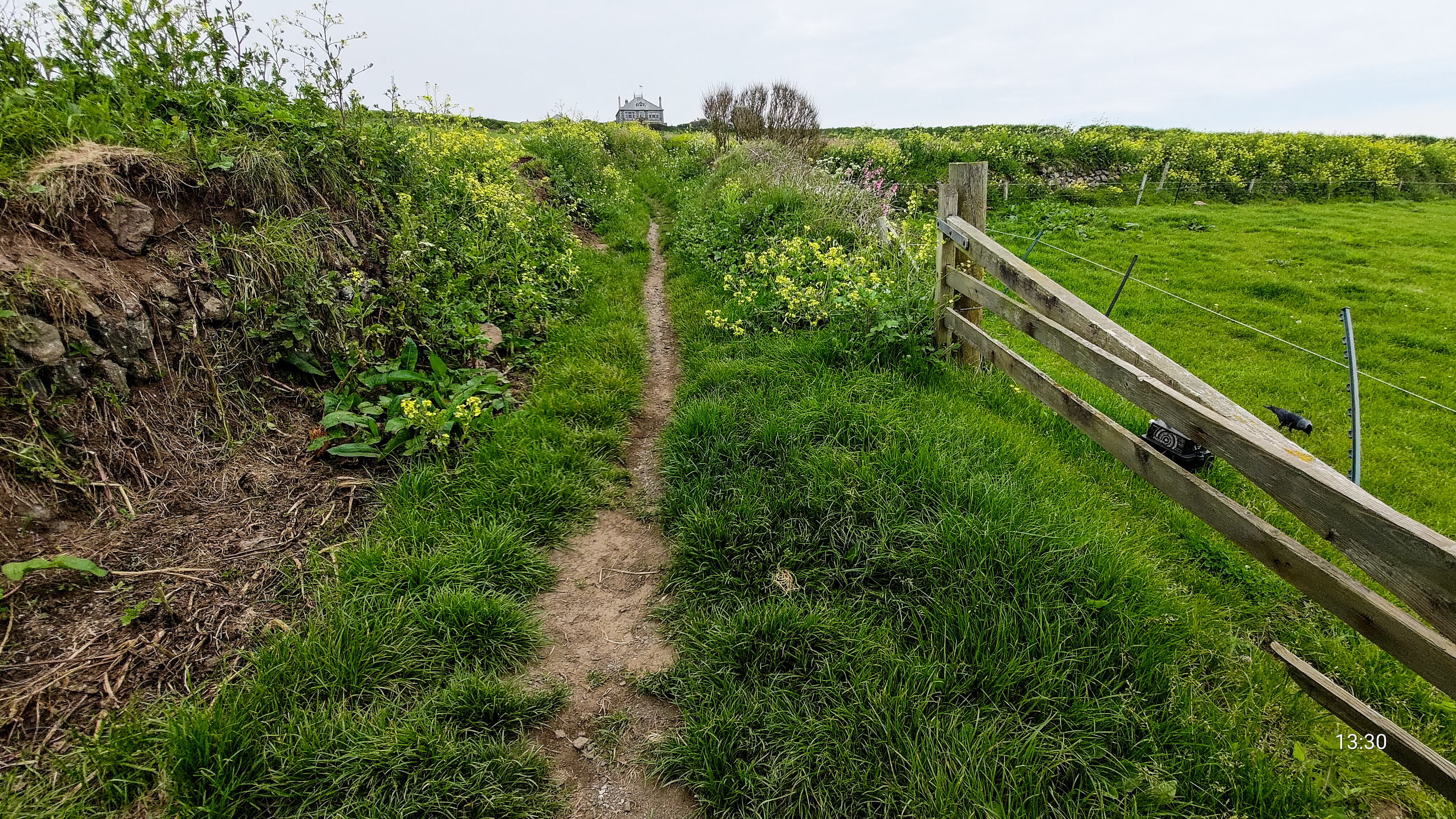 slideshow image