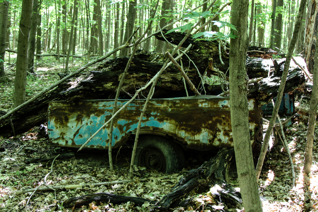 slideshow image
