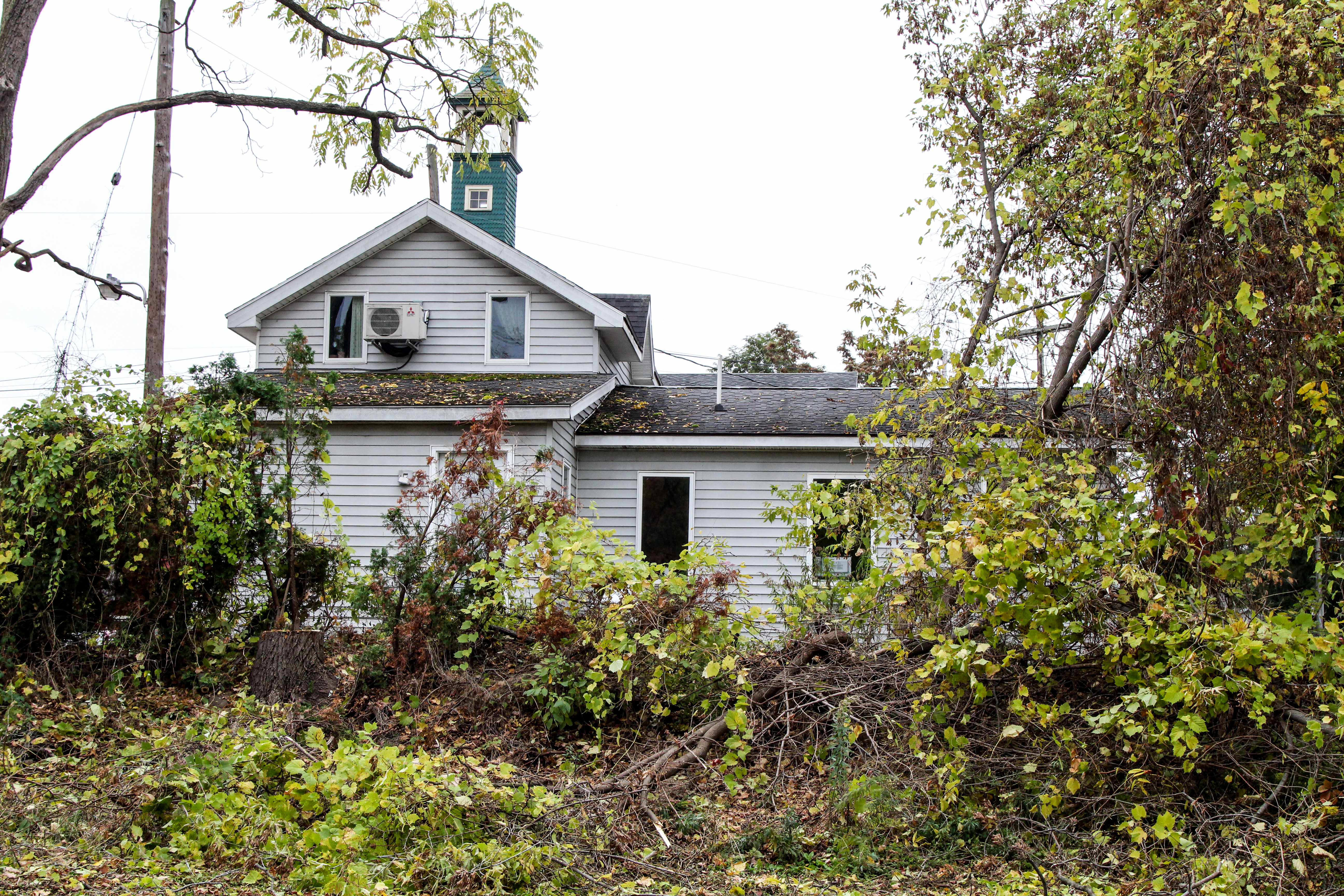 slideshow image