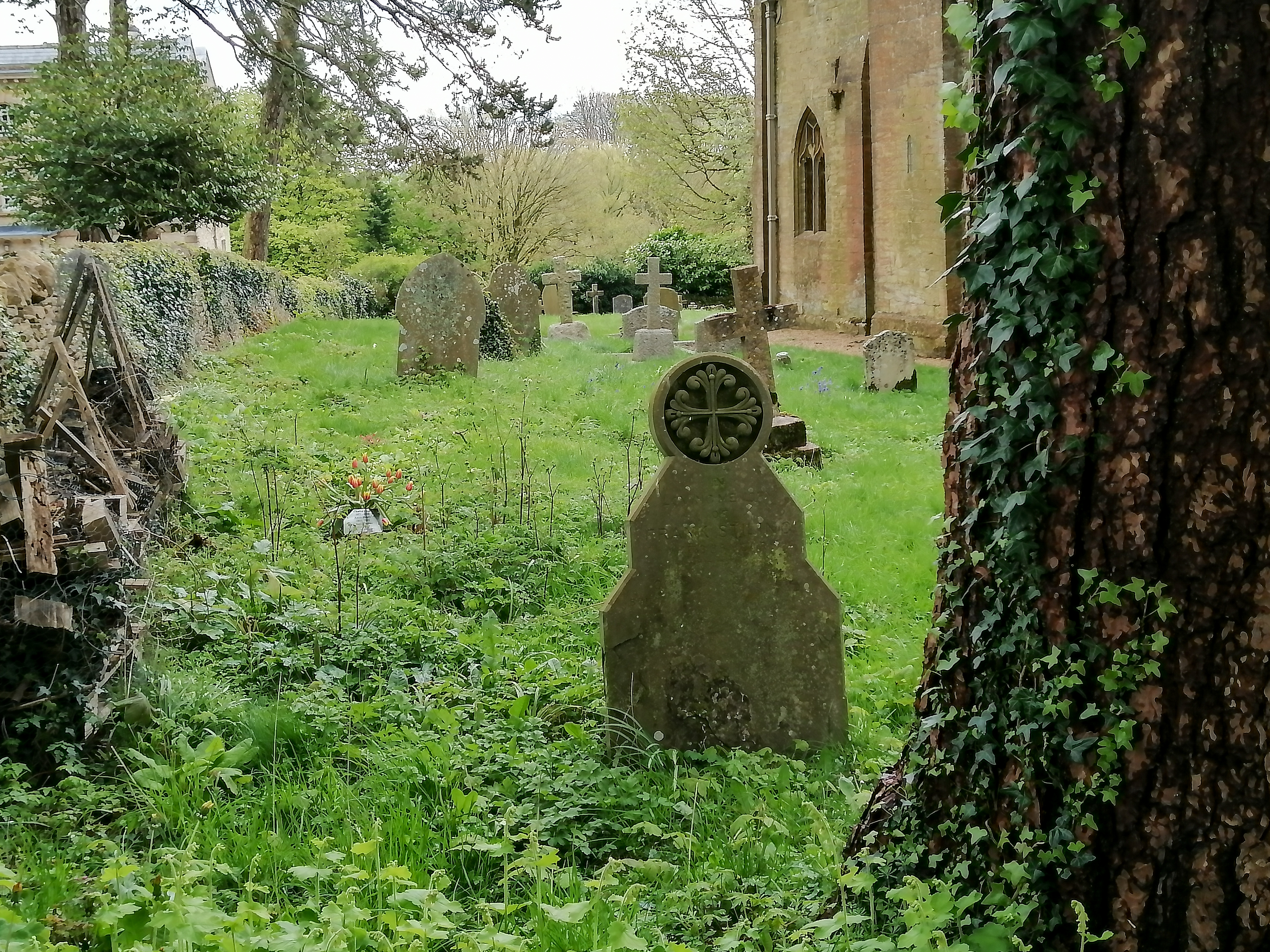 slideshow image