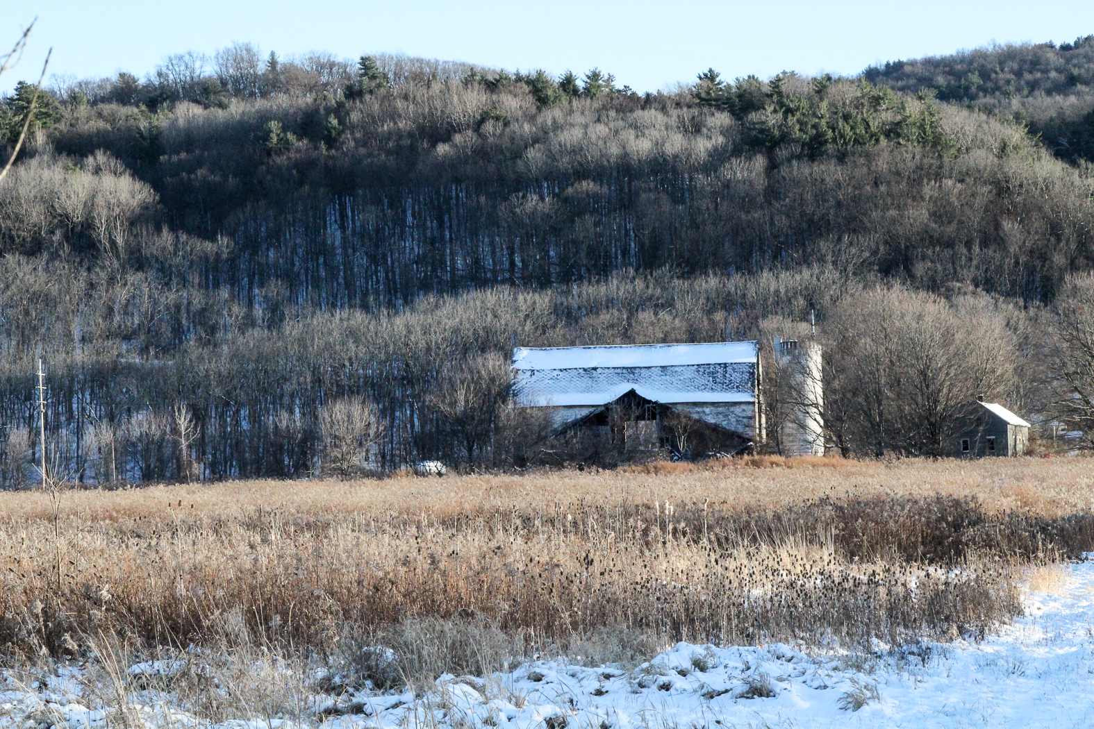 slideshow image