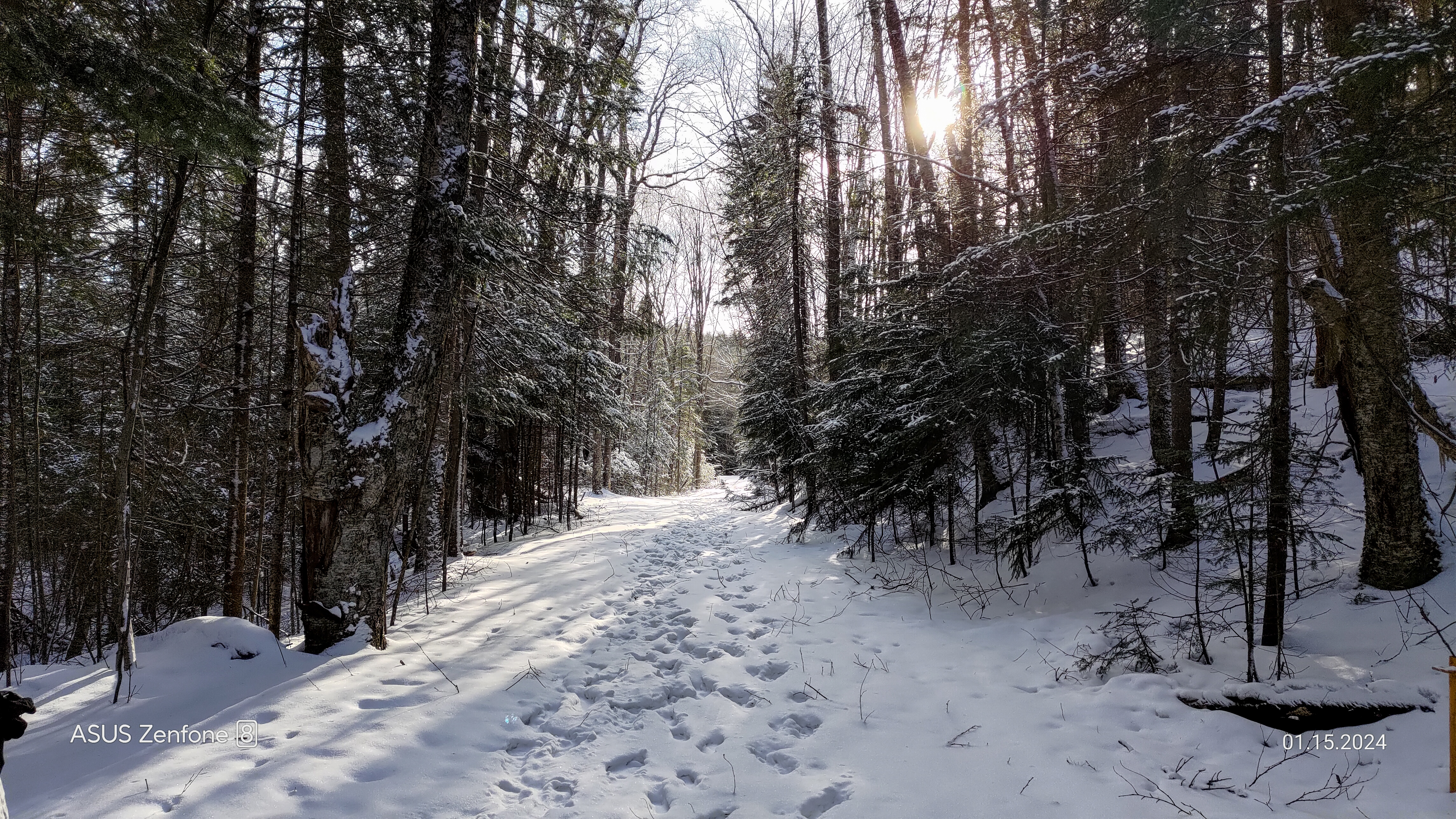 slideshow image