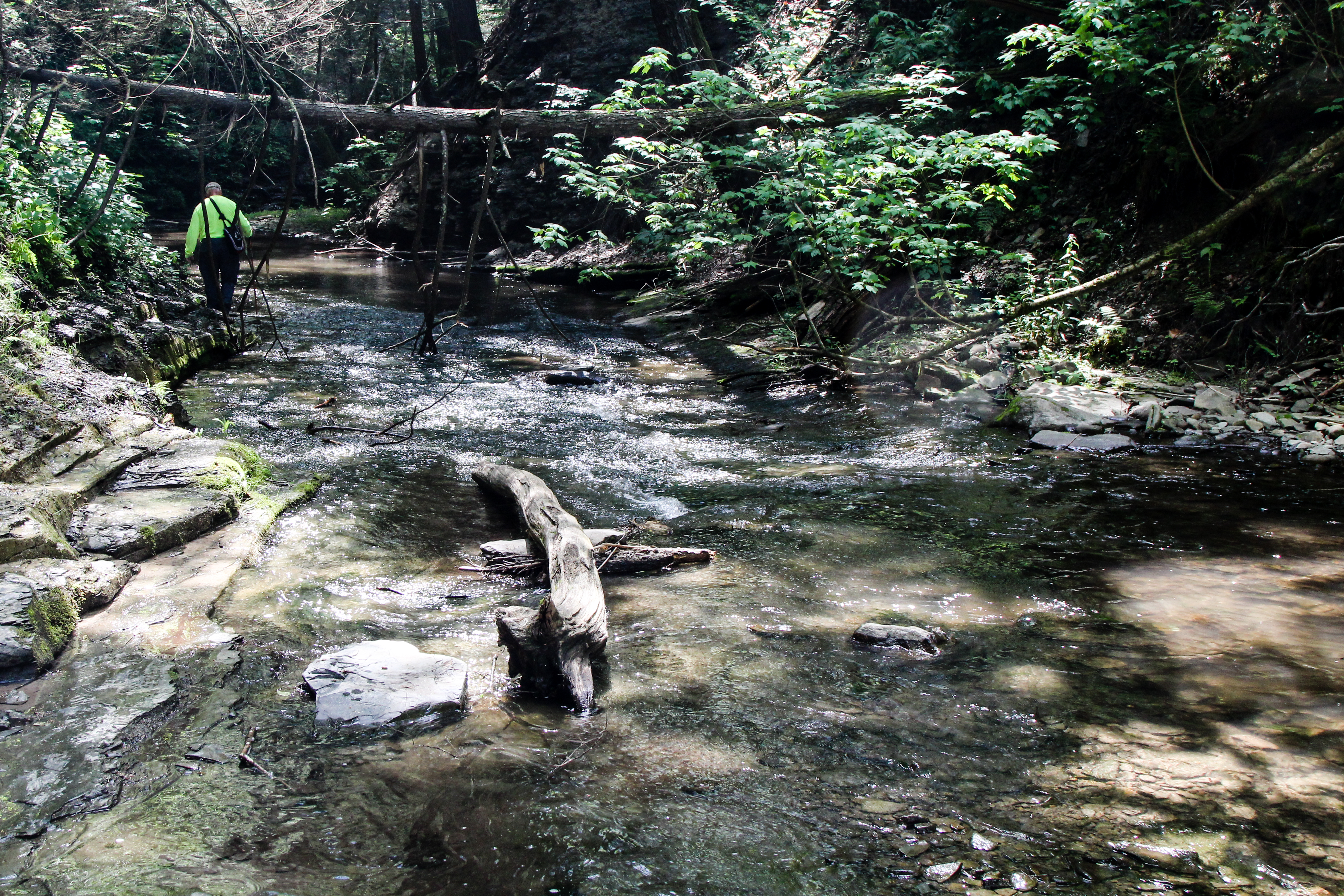 slideshow image