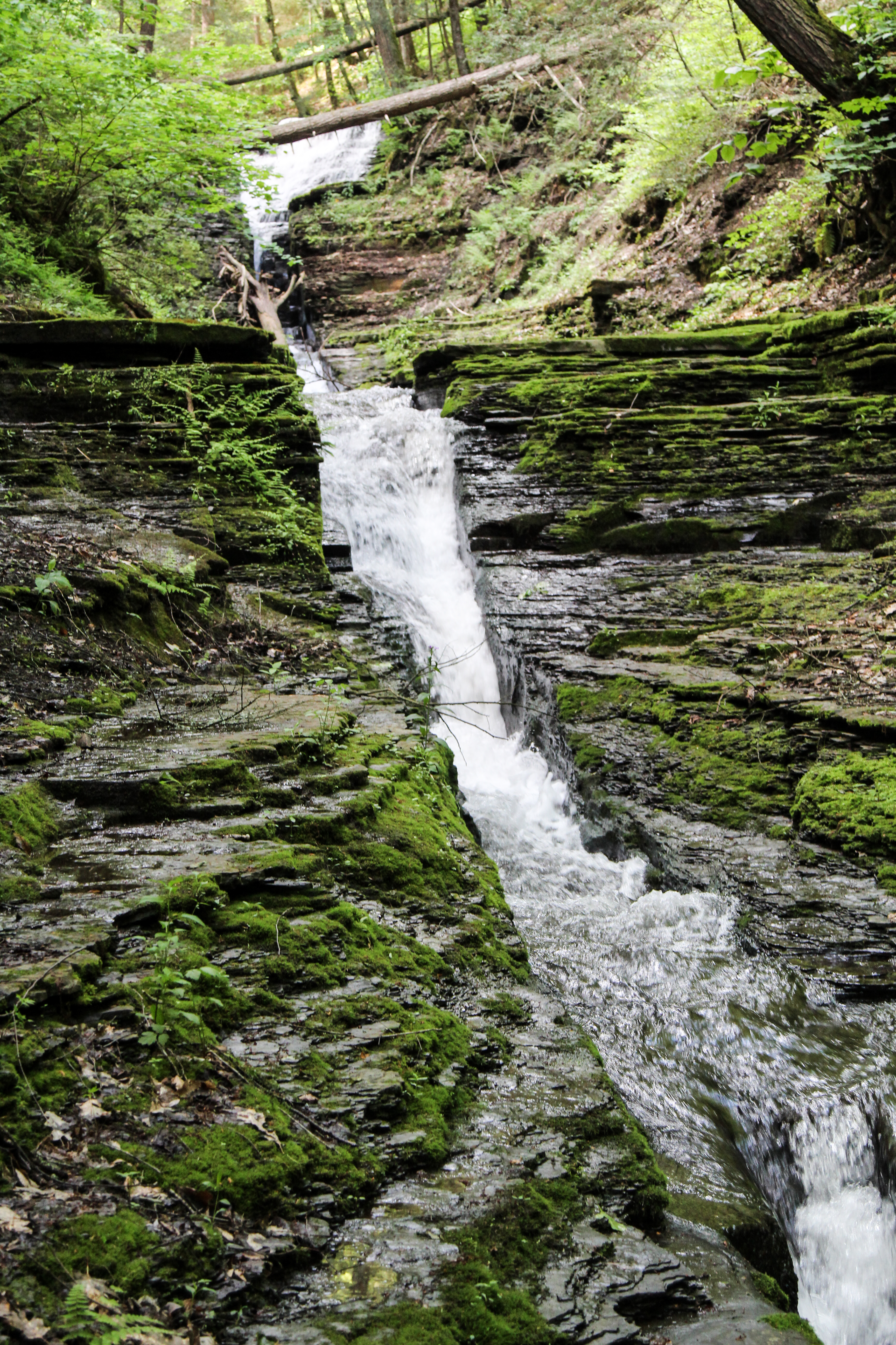 slideshow image