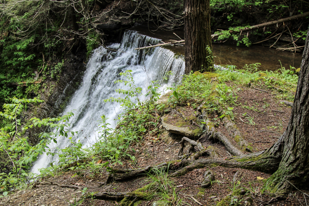 slideshow image