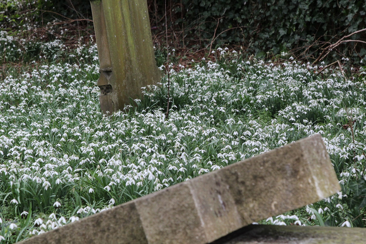 slideshow image