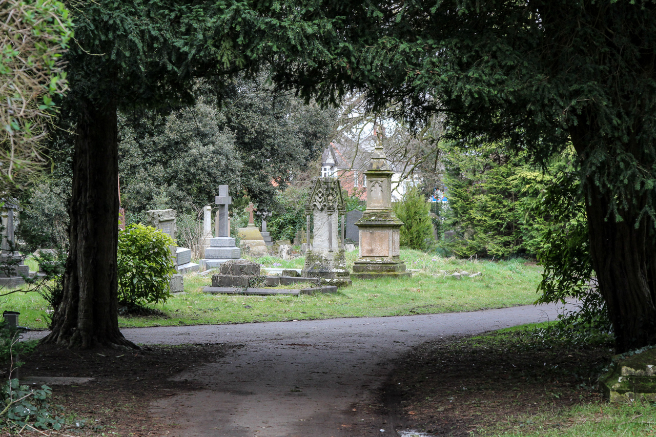 slideshow image