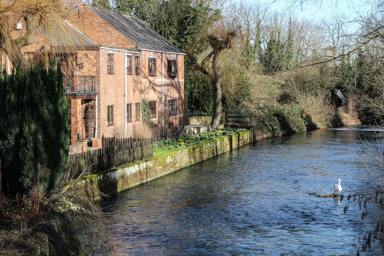 slideshow image