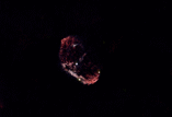 Messier 42, The Orion Nebula