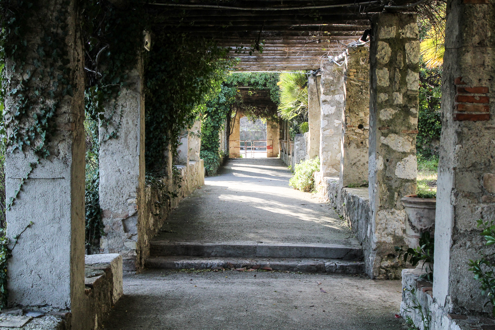 slideshow image