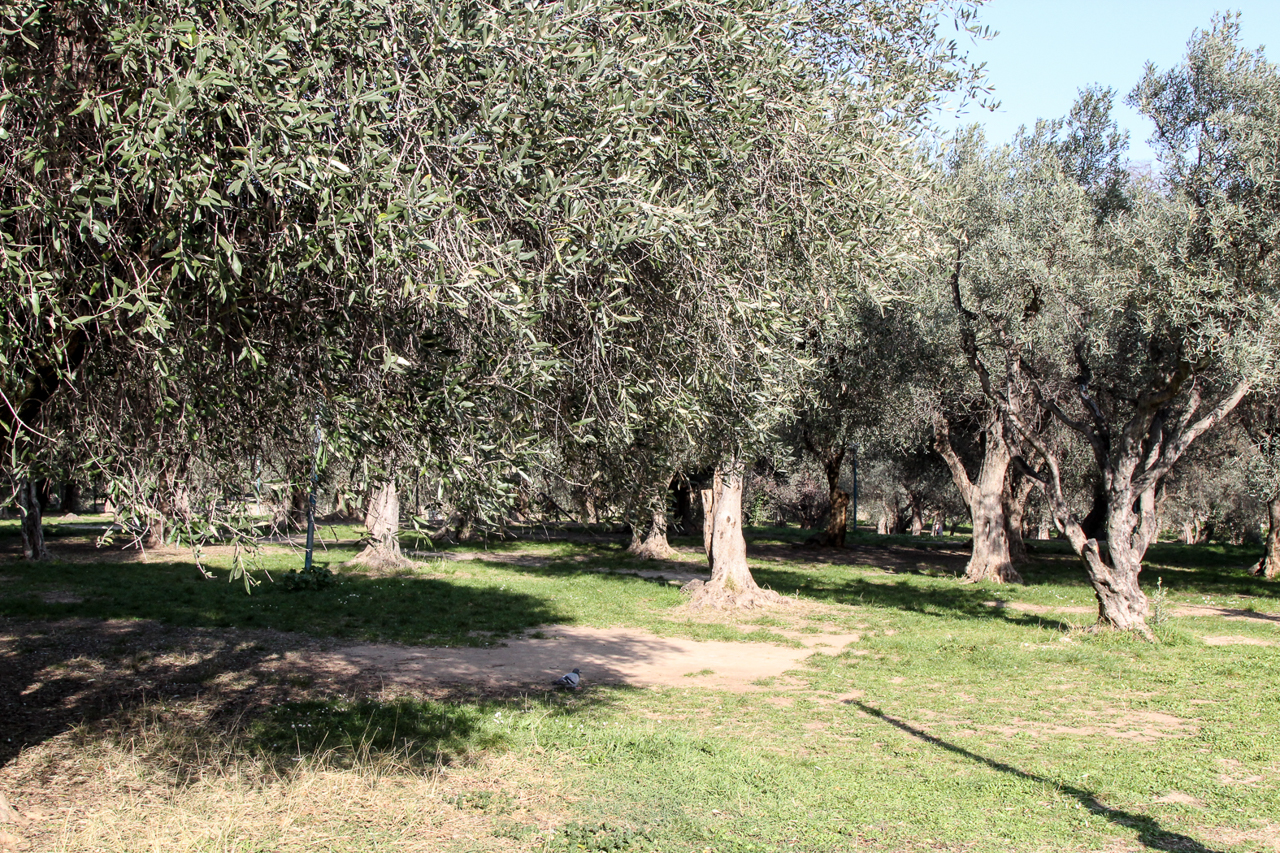 slideshow image