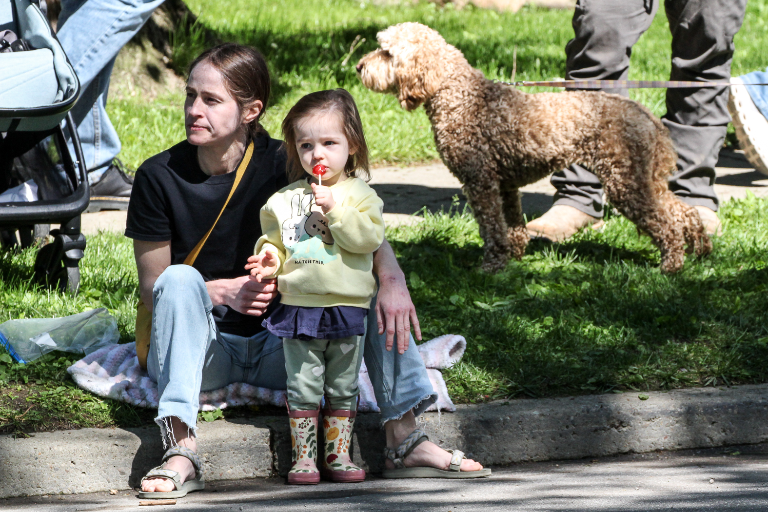 slideshow image