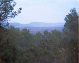 Picture-0011